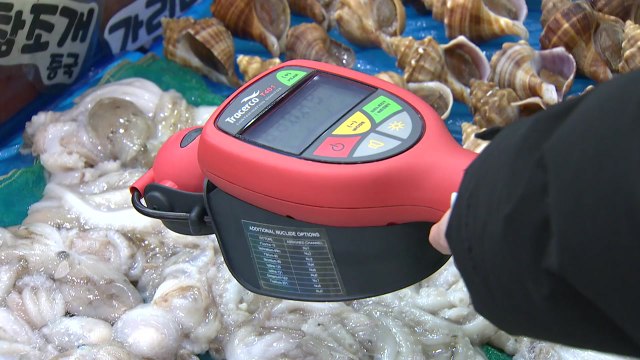 [경기] 수원 농수산물 도매시장 수산물 방사능 측정기 도입 / YTN