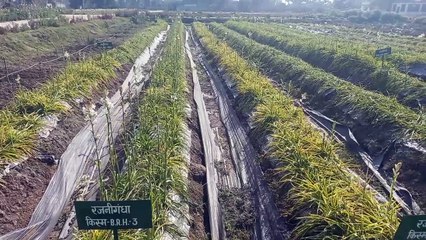 नए बजट से नई उम्मीदें