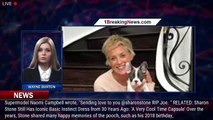 Sharon Stone Announces Death of Dog Joe 'Biggy' Stone: 'It's a Process' - 1breakingnews.com