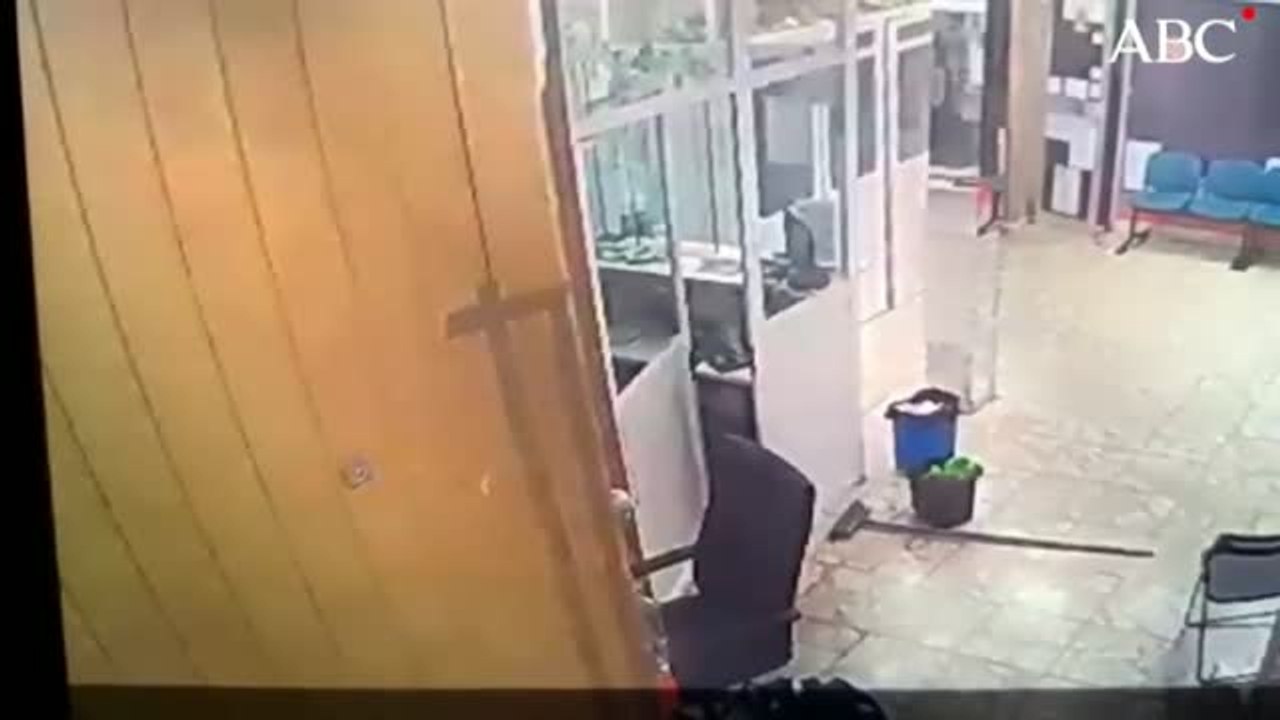 Juicio a cuatro integrantes de los Dominican Don't Play