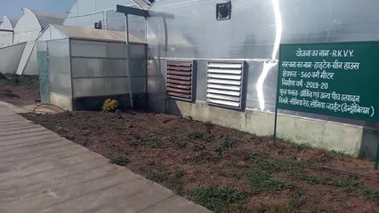 ... तो लगे अमरूद, मिर्च व आवंले के कारोबार को पंख