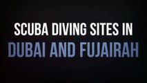 Scuba Diving Sites in Dubai and Fujairah