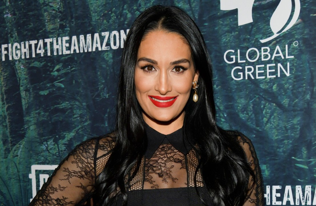 Nikki Bella se sentía muy 'intimidada' por este hombre: ¿de quién se trata?