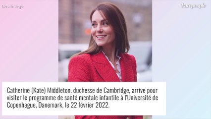 Kate Middleton sans le prince William au Danemark : sublime dans son blazer Zara !