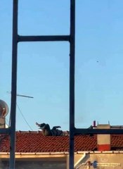 Son dakika haberi | Çatıda tehlikeli yoga keyfi kamerada