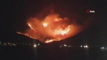 Son dakika haberi... İspanya'daki orman yangınında 392 hektarlık alan kül oldu