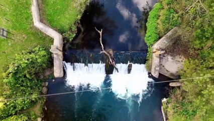 Nature Video Relaxing Music Bird Sound __ प्रकृति वीडियो आराम संगीत पक्षी ध्वनि