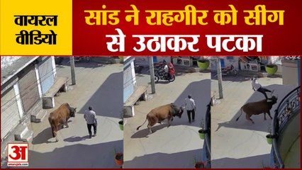 सांड ने राहगीर को सींग से उठाकर पटका। Nagore Viral Video। Nagore Latest News।