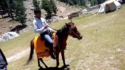 Hours riding top of the mountain ️ just ertugel style