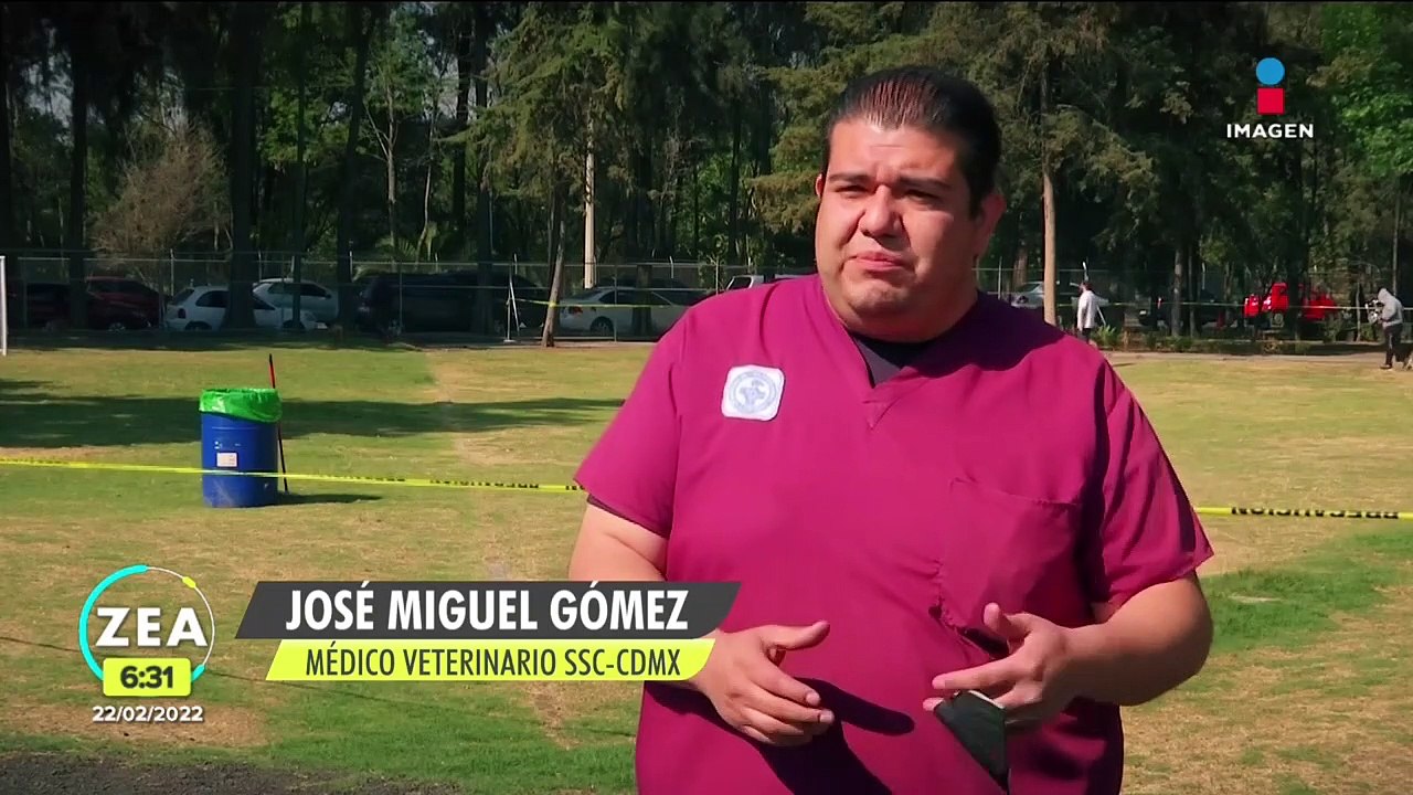 Esterilización animal para reducir el abandono...