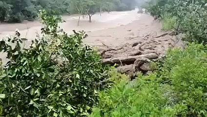 Video herunterladen: Intensas lluvias provocan una mazamorra que afectó viviendas y cultivos en Irupana