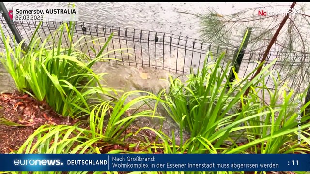 Putins Krise: Deutschland stoppt Nord Stream 2 - Euronews am Abend 22.02.22