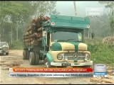 Aktiviti pembalakan ancam keselamatan penduduk