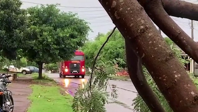 Galho de árvore cai e interdita rua no Bairro Cataratas em Cascavel
