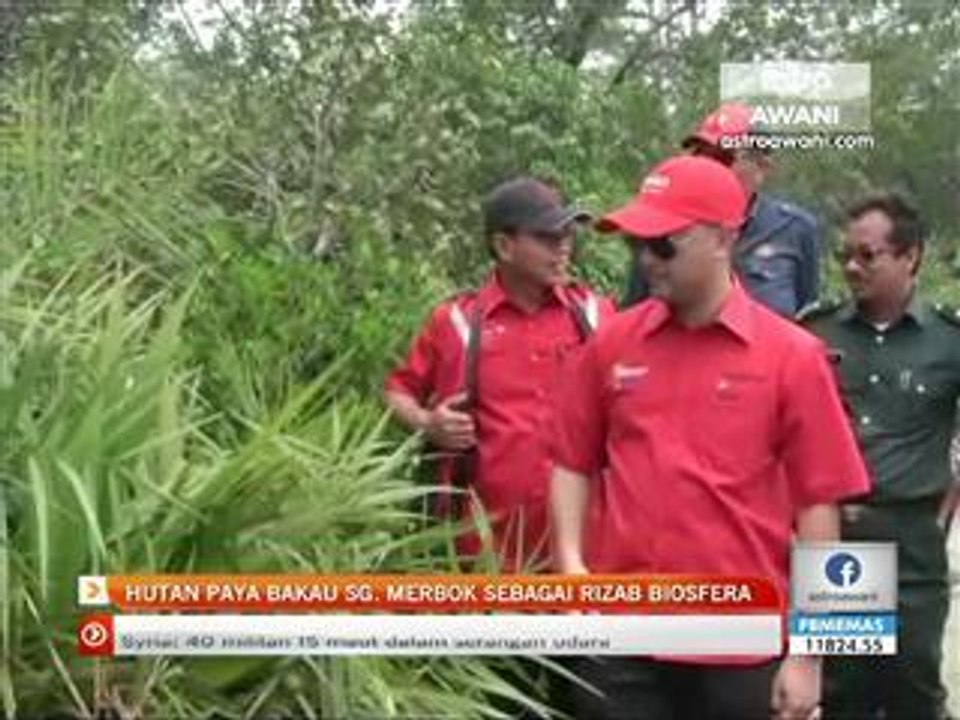 Hutan paya bakau Sungai Merbok sebagai rizab biosfera