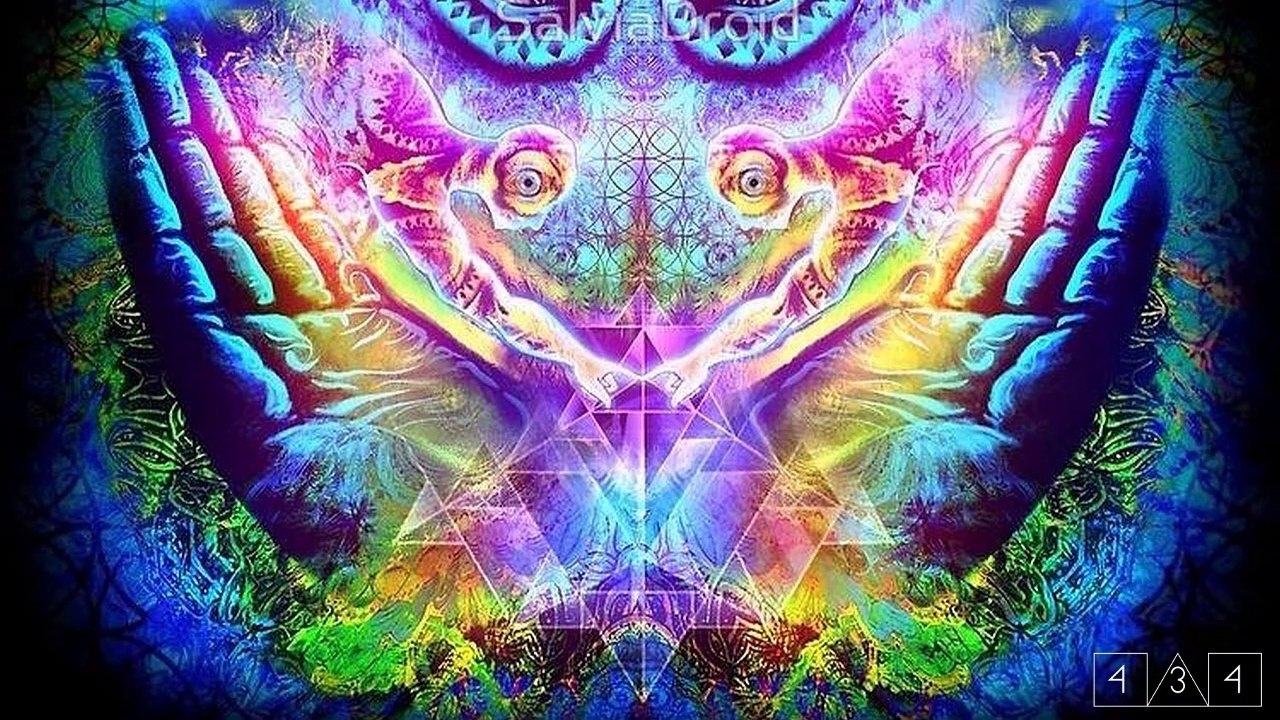 Who / what are machine elves? 434 explains.