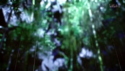 Martial Cultivation Biography Episode 3 vostfr