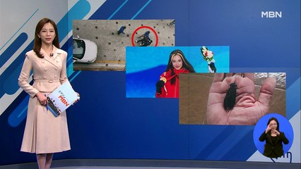 [인터넷 와글와글] "살려주세요" 비명에 맨손으로 강도 검거한 '용감한 시민'…외 2가지 키워드 기사