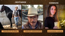 Holyhealth: La pasión por los caballos
