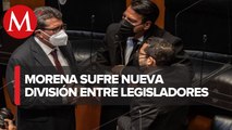 Senadores de Morena presentarán juicio para proteger derechos políticos ante revocación