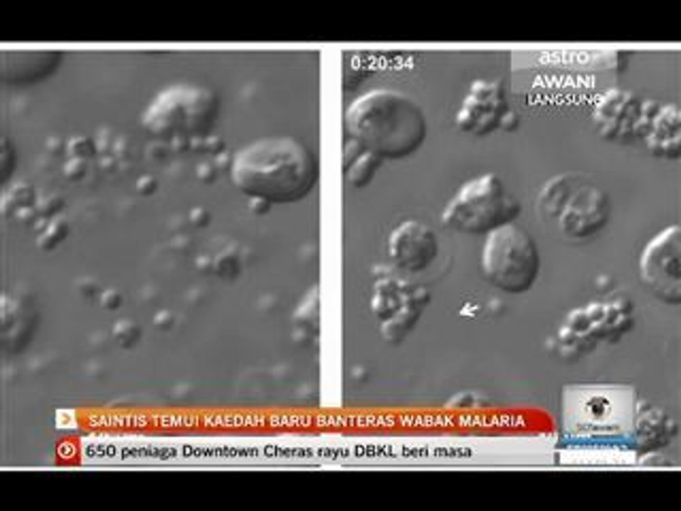 Saintis temui kaedah baru banteras wabak malaria