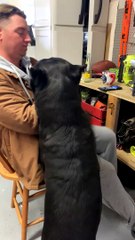 When You're Not Allowed to Bite