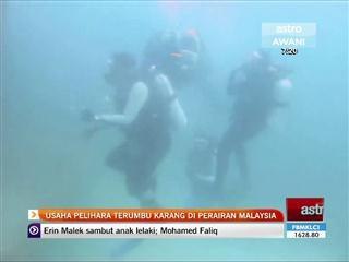 Usaha pelihara terumbu karang di perairan Malaysia