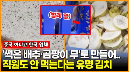 ‘썩은 배추·곰팡이 무’로 만들어 직원도 안 먹는다는 유명 김치