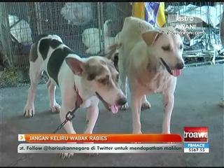 Jangan keliru wabak rabies