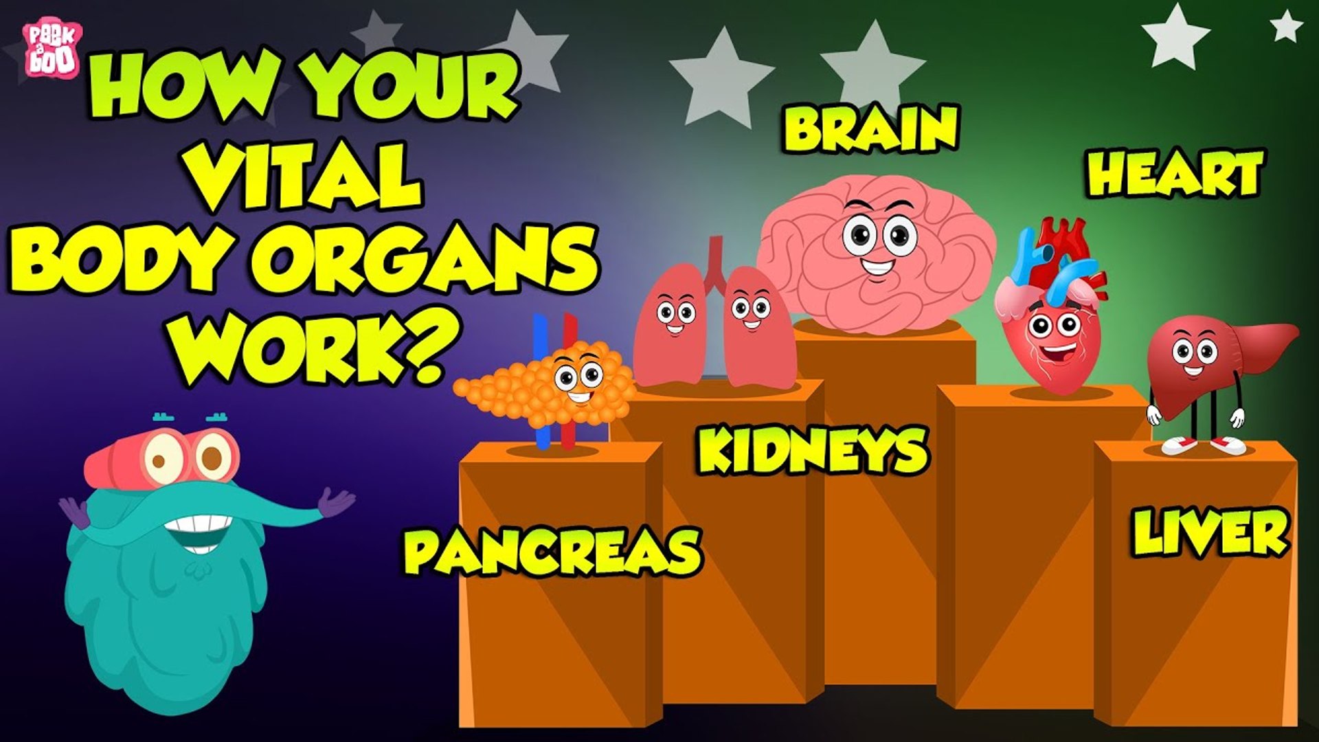 ⁣How Your Vital Organs Work? | Systems of The Human Body | The Dr Binocs Show | Peekaboo Kidz