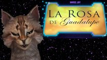 La Rosa de Guadalupe 