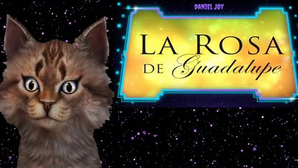 La Rosa de Guadalupe "INFIDELIDADES IMAGINARIAS" COMPLETO Gato Reaccion