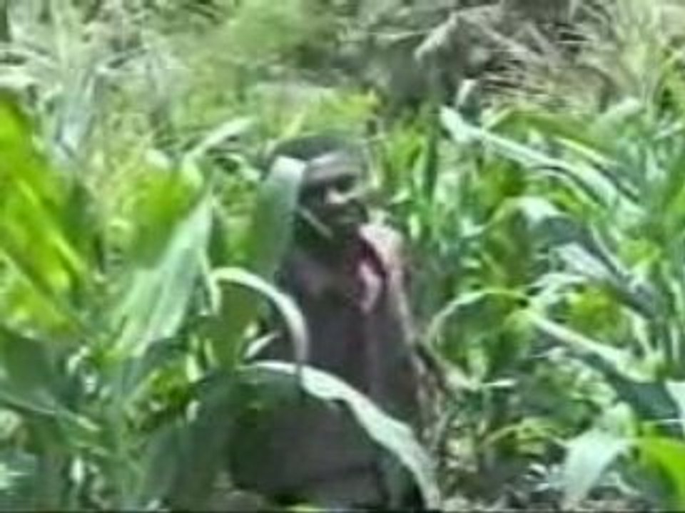 Wa wa tsakotsako