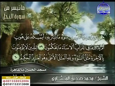 الشيخ محمد صديق المنشاوي سورة النحل عام 1969 _ تلاوة نادره _ تسجيلات قناة المجد _ فِي لَوْحٍ مَّحْفُوظٍ