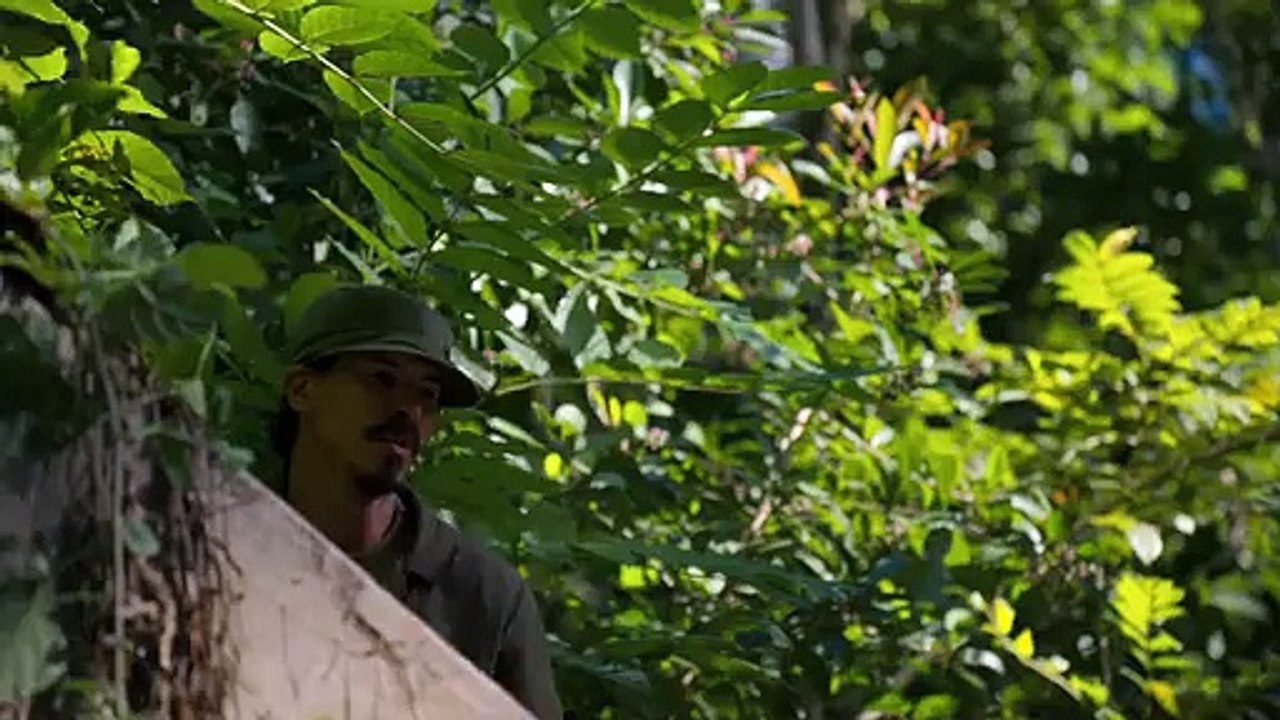 Panama Trailer (2022)