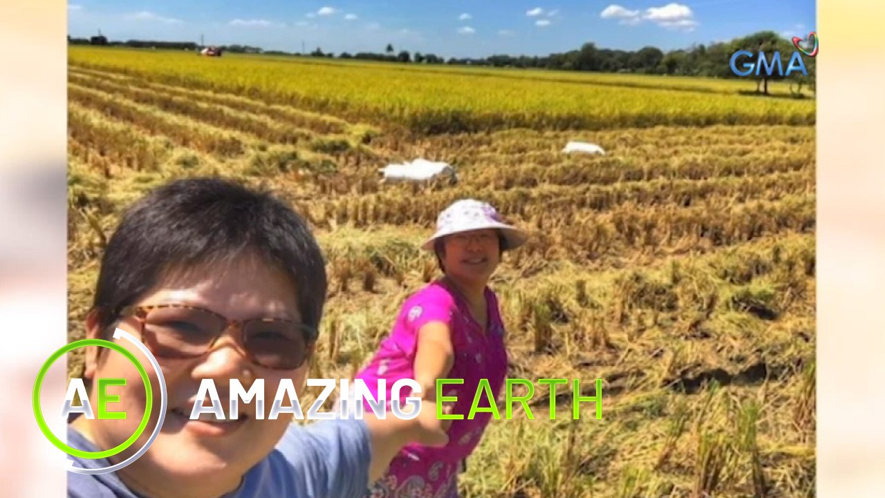 Amazing Earth: Executives become farmers!