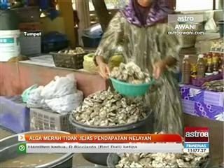 Alga merah tidak jejas pendapatan nelayan