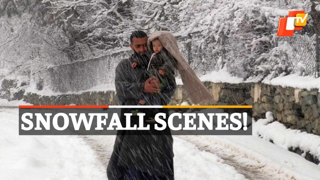 WATCH | Fresh Snowfall In Kashmir Valley Disrupts Normal Life