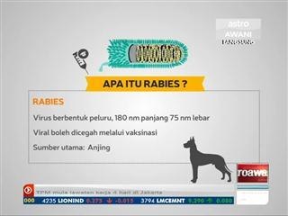 Apa itu rabies ?