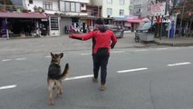 Artvin'de temizlik işçisi ile sokak köpeğinin gülümseten dostluğu