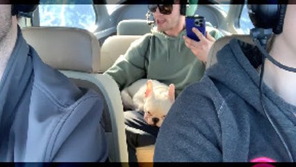 Dog Experiences Zero Gravity Flight