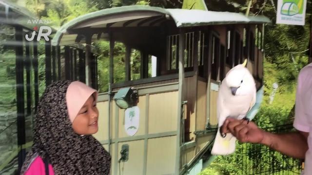 #AWANIJr: Alya, Burung Kakak Tua & Ular Sawa