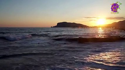 intro-logo-15-min-20220214-234627