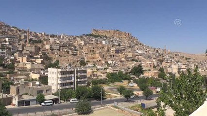 300 yıllık yapı, hem kitapseverleri hem sokak kedilerini ağırlıyor
