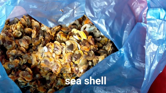 All kinds of fish selling by fish sellers in East Java