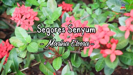 Marina Elsera - Segores Senyum  (Official Lyric Video)