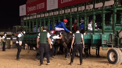 DUBAI WORLD CUP: Mystic Guide casts its spell