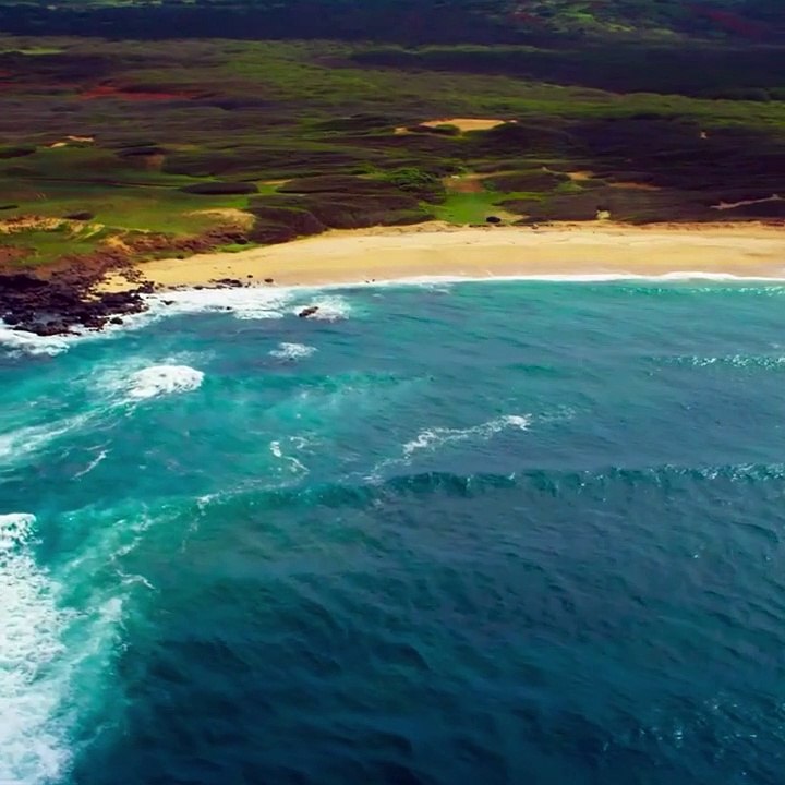 Square video - Aspect ratio 1:1 - new filmstrip