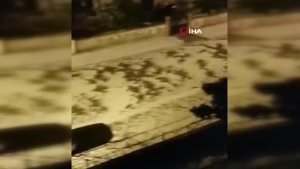 Antalya'da sabah karşı dolu şaşkınlığı