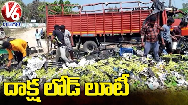 Truck Overturned, Public Loot Grapes From Truck _ Suryapet | V6 News